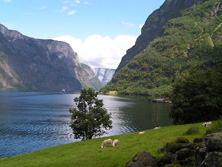 Nordeuropa, Norwegen: Norwegen i hytta - Die grüne Landschaft Norwegens 